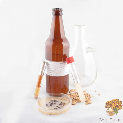 Дрожжи жидкие Belgian Wit II Ale