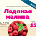 Набор Алхимия вкуса № 15 для приготовления настойки "Ледяная малина", 24 г